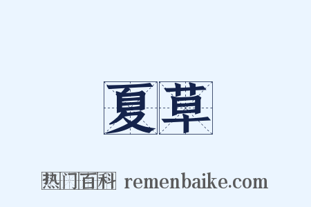 夏草是什么意思的图片